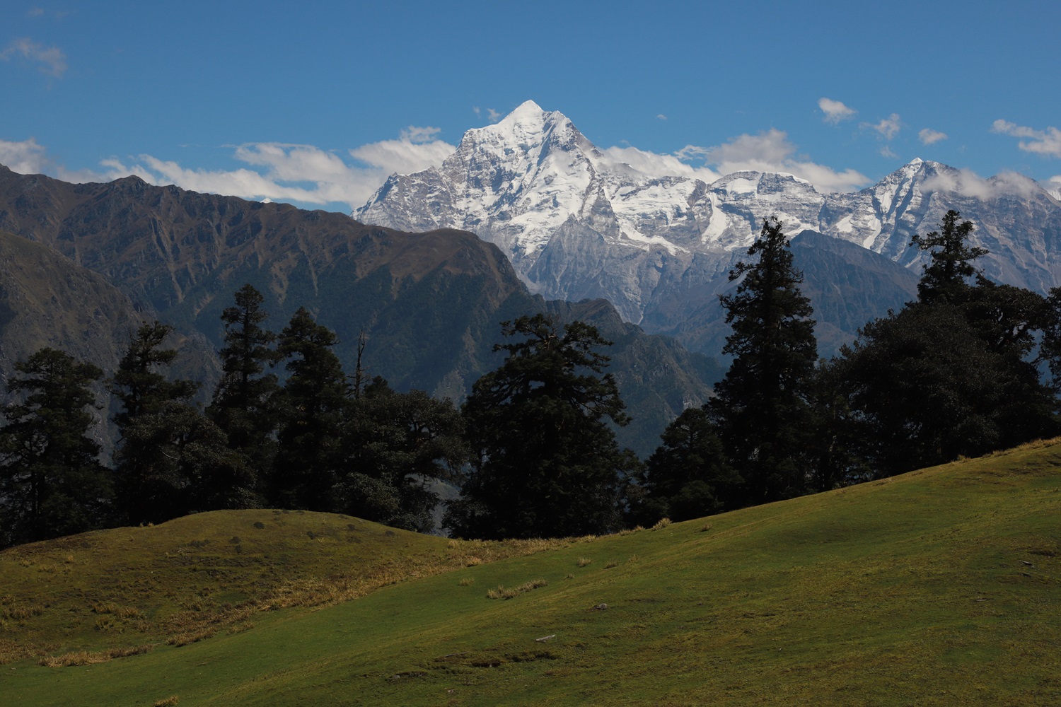 Auli-Gourson