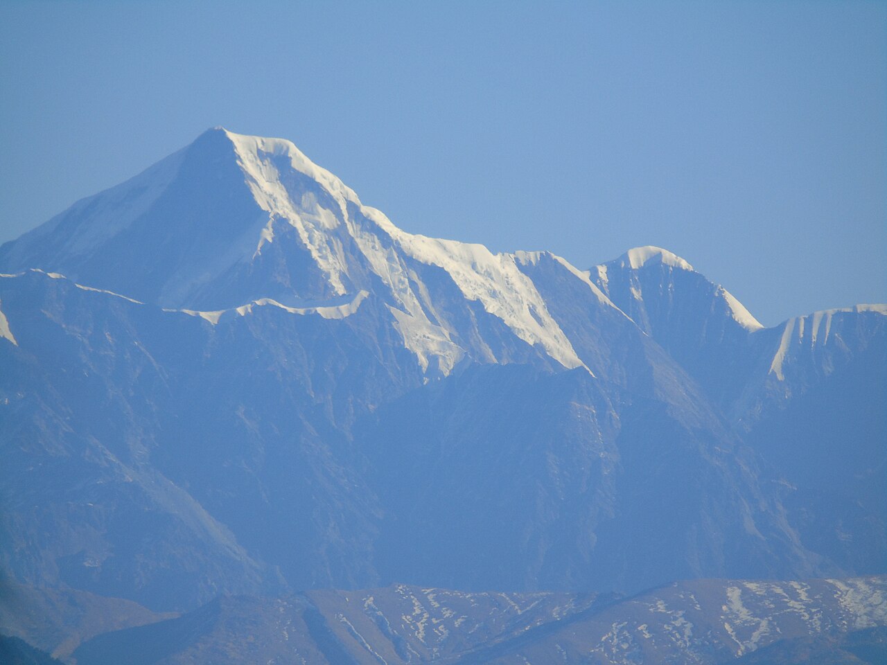 Ronti