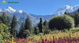 Ghangriya